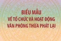 Biểu mẫu tổ chức hoạt động của Văn phòng Thừa phát lại